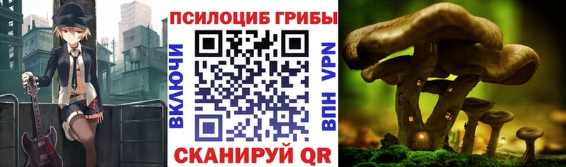 Псилоцибиновые грибы мицелий  Купить где  Белый 