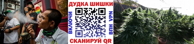 Марихуана сатива  Купить закладки  Белый 